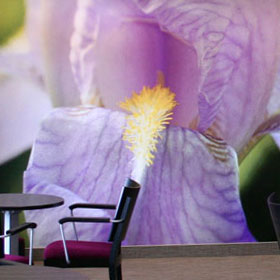 Sport und Pflege Einrichtungen